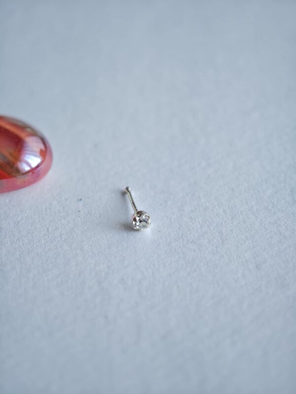 Hõbedast ninaneet (5) Hõbedast ninaneet (5)