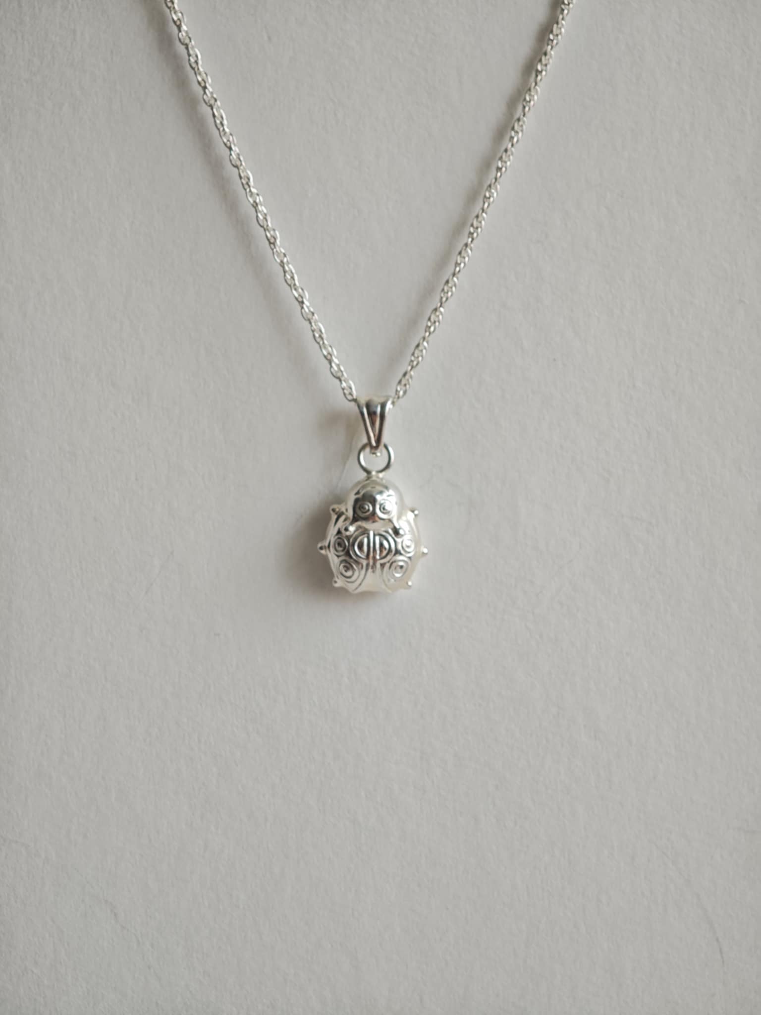 Hõbedast kaelakee lepatriinu Hõbedast kaelakee lepatriinu